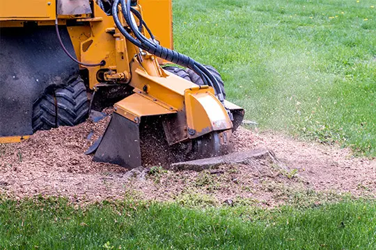 stump grinding collinsville il